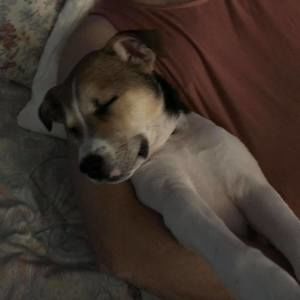 Meet your Posher, Gillian